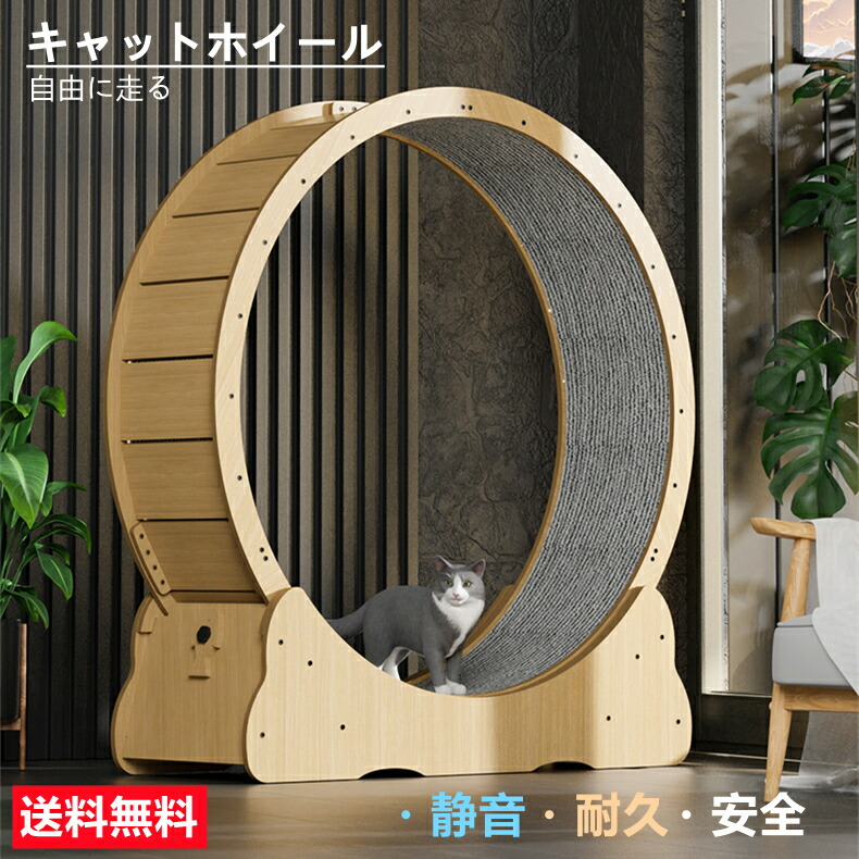 楽天市場】猫 キャットホイール 組立簡単 静音 自走式 4～8キロの子