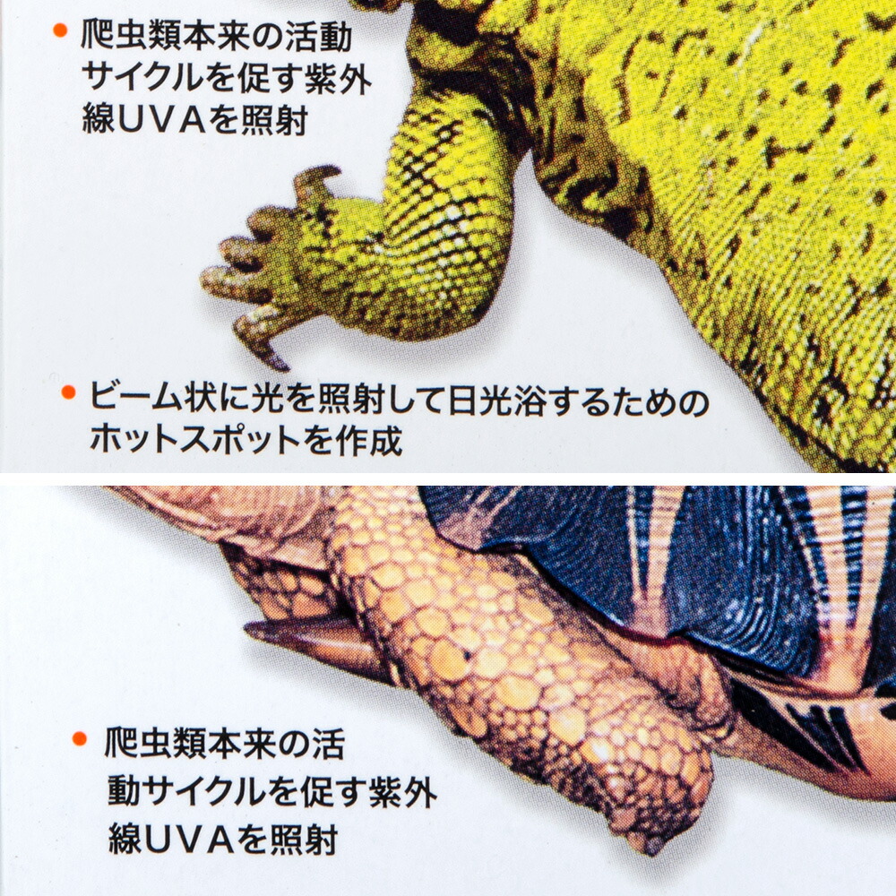 楽天市場】ZOOMED レプティ バスキングスポットランプ 75W