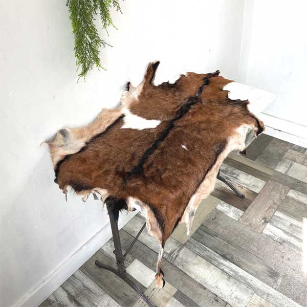 楽天市場】ゴートファーラグ（山羊毛皮）の通販