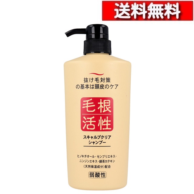 楽天市場】根活性成 スキャルプクリア シャンプー 550mL [1-6本