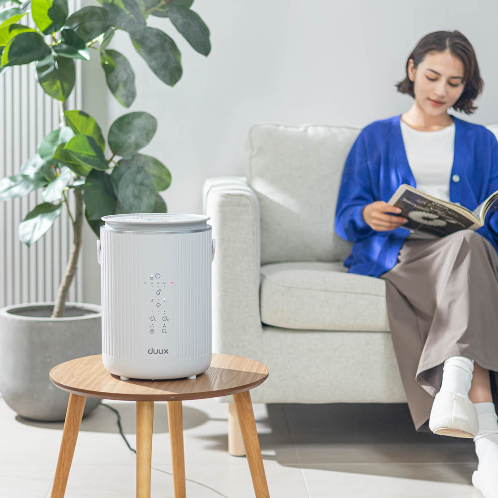 楽天市場】【クーポン配布中 3／1迄】 DUUX（デュクス） スチーム式