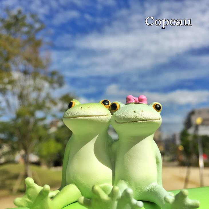 楽天市場】コポー カエル かえる 雑貨 コポーカエル コポーシリーズ