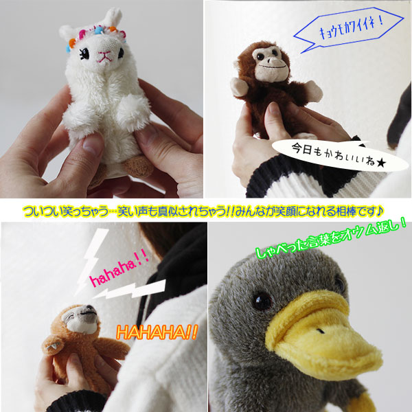 楽天市場】Mime Friends mini マイムフレンズ ミニ【オウム返し