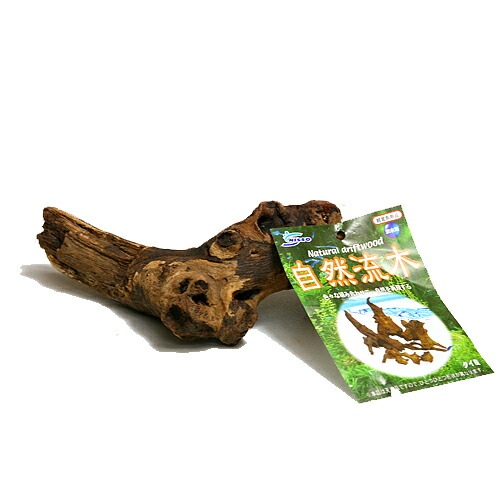 楽天市場】ニッソー 自然流木（小） 【形状おまかせ】 【水槽/熱帯魚