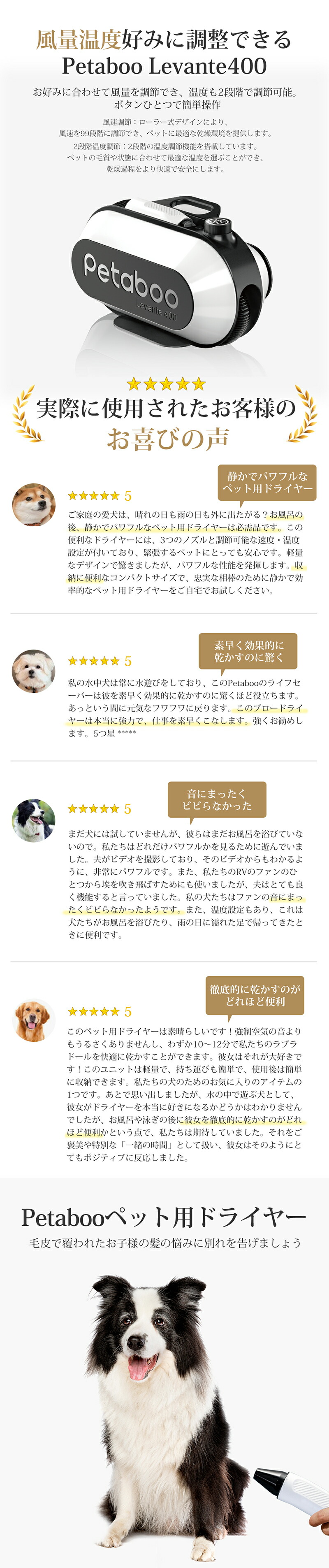 楽天市場】【先行販売限定☆20%OFFクーポン！】【Petaboo】ペット