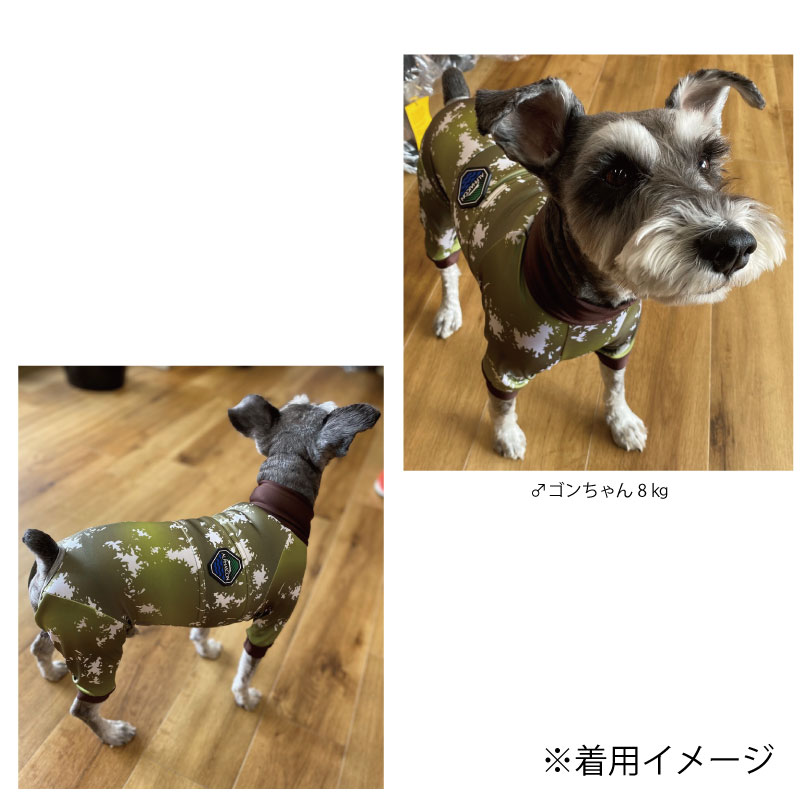 楽天市場】ALPHAICON アルファアイコン フルドッグガード Lサイズ 高撥