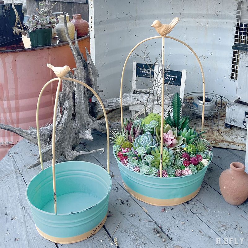 楽天市場】【SS限定｜最大8,000円OFFクーポン】【S、Lセット】大小