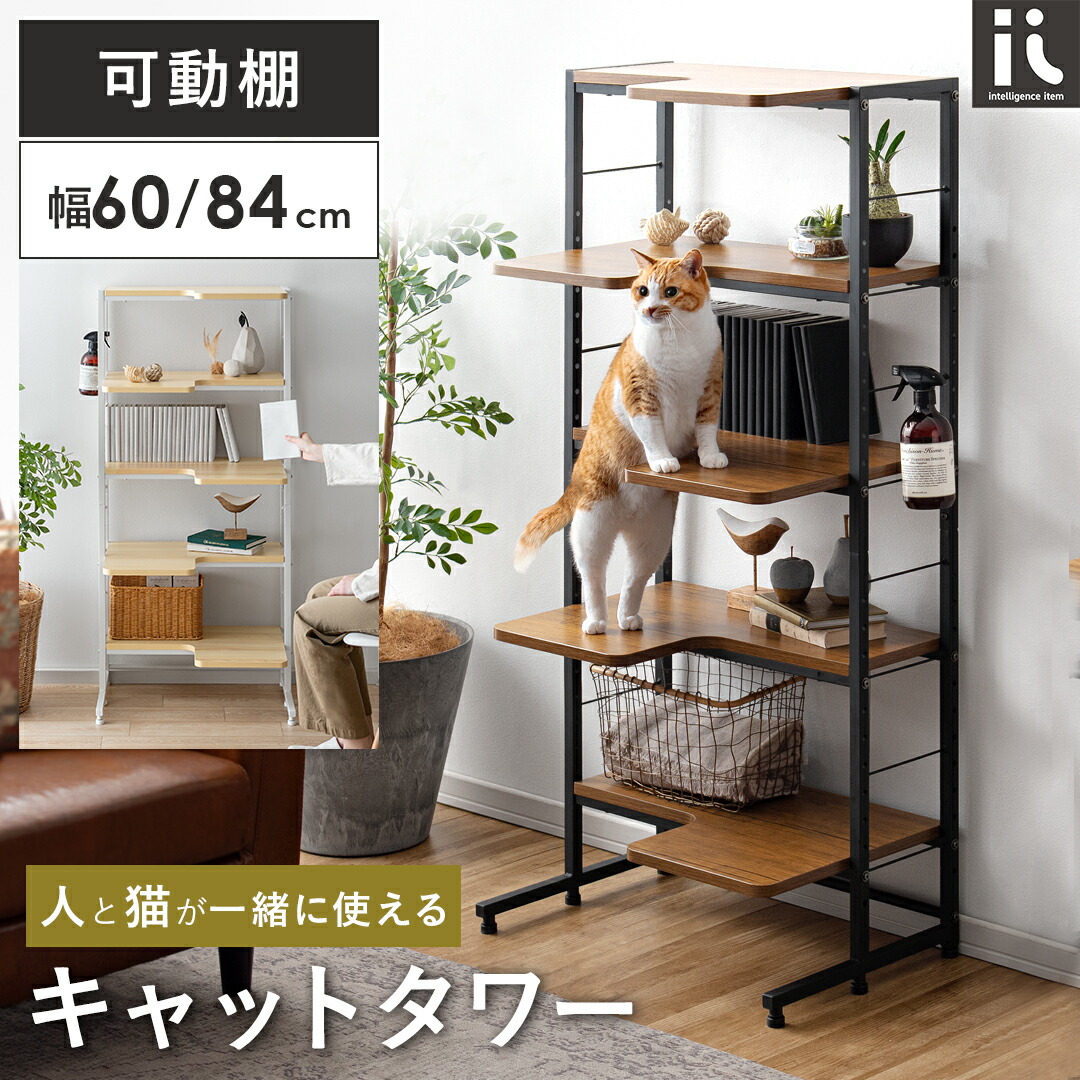 楽天市場】【3/4限定！先着5名様50％OFFクーポン配布中】 キャット