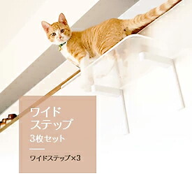 楽天市場】【animacolle ワイドステップ 選べる3枚セット】公式 送料