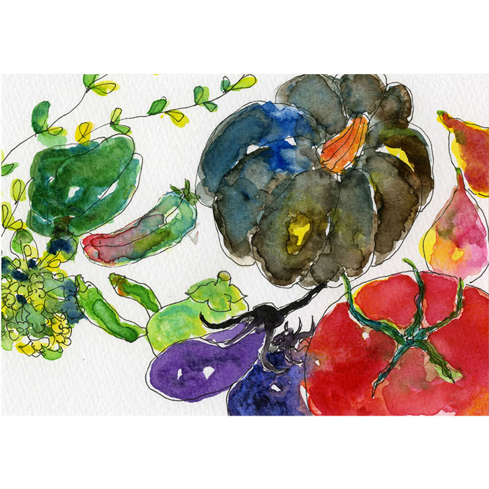 楽天市場】呉竹透明水彩ボックス 12色セット【KG301-13】固形透明水彩