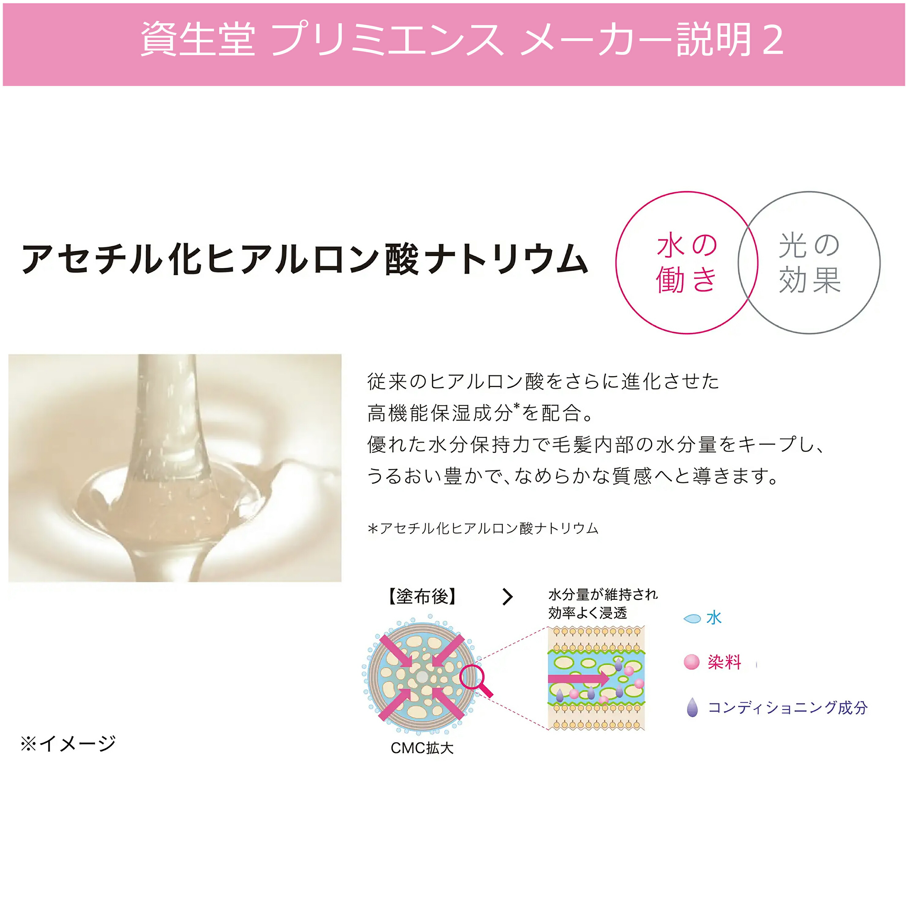 楽天市場】資生堂 プリミエンス オキシ 1リットル セット おしゃれ染め