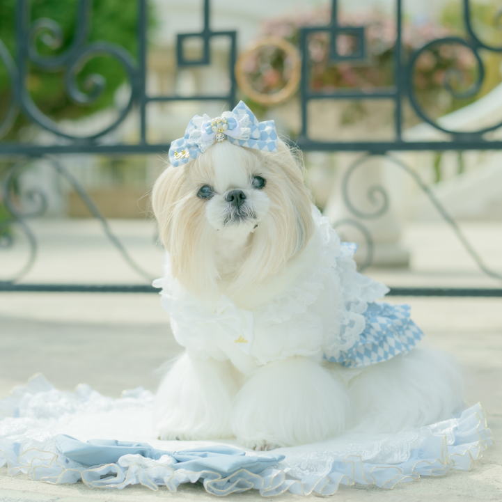 楽天市場】犬服 ベスト ボレロ CanNana秋冬【きゃんナナ】レースフリル