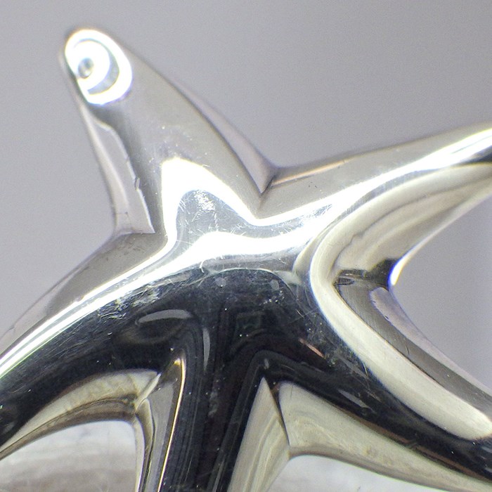 楽天市場】ティファニー Tiffany & Co. ネックレス スターフィッシュ