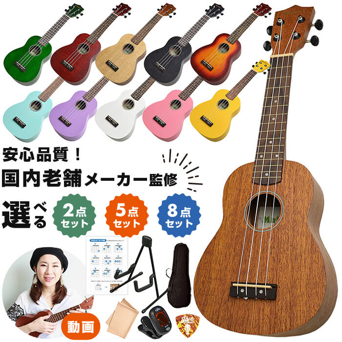 楽天市場】ギターケース APXサイズ エレアコ アコースティックギター