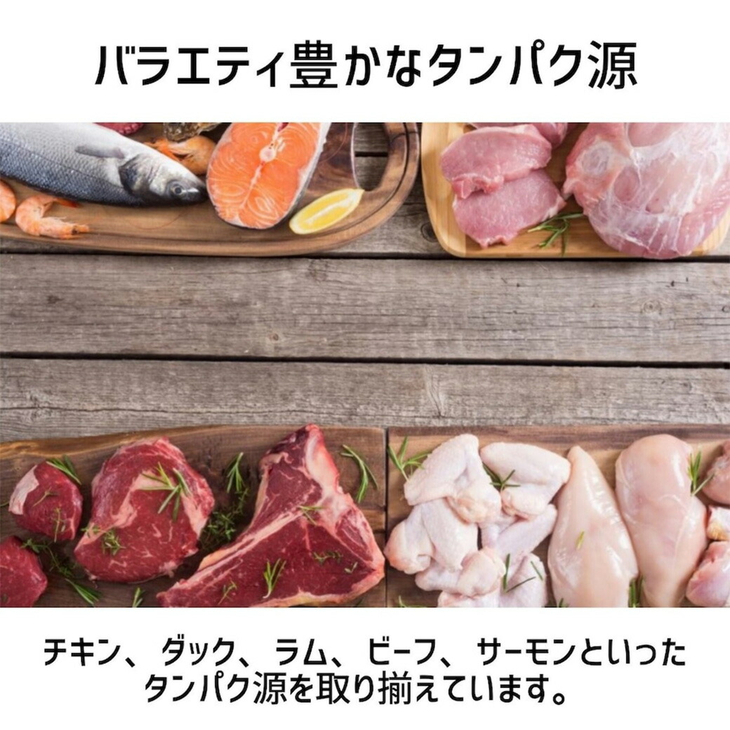 楽天市場】ポイント全品2倍！3/1限定 ウルフインサイト エンハンスト