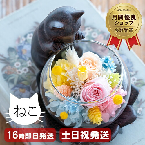 青いお花 氷 猫 5個セット リクエスト専用 青いお花 氷 猫 5個セット