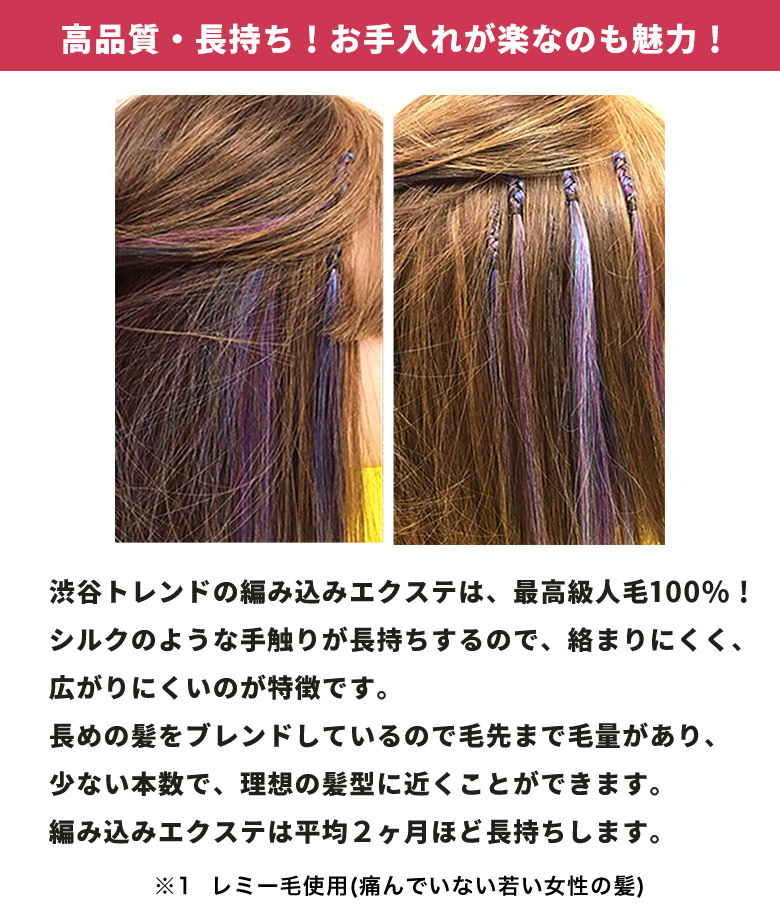 楽天市場】編込みエクステ 67cm40g ライトカラー PLATINUM 腰まで