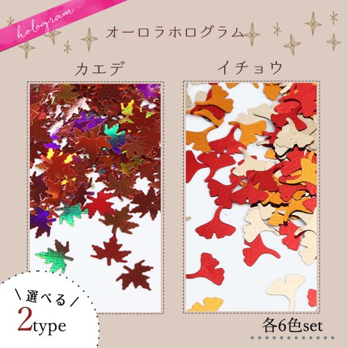楽天市場】【1日限定P5倍】【封入】イチョウ・カエデのホログラム 6色