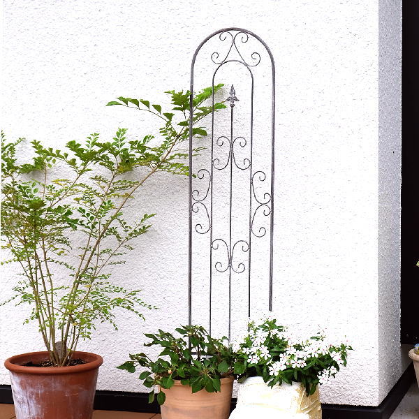 楽天市場】ガーデンフェンス トレリス おしゃれ かわいい 仕切り