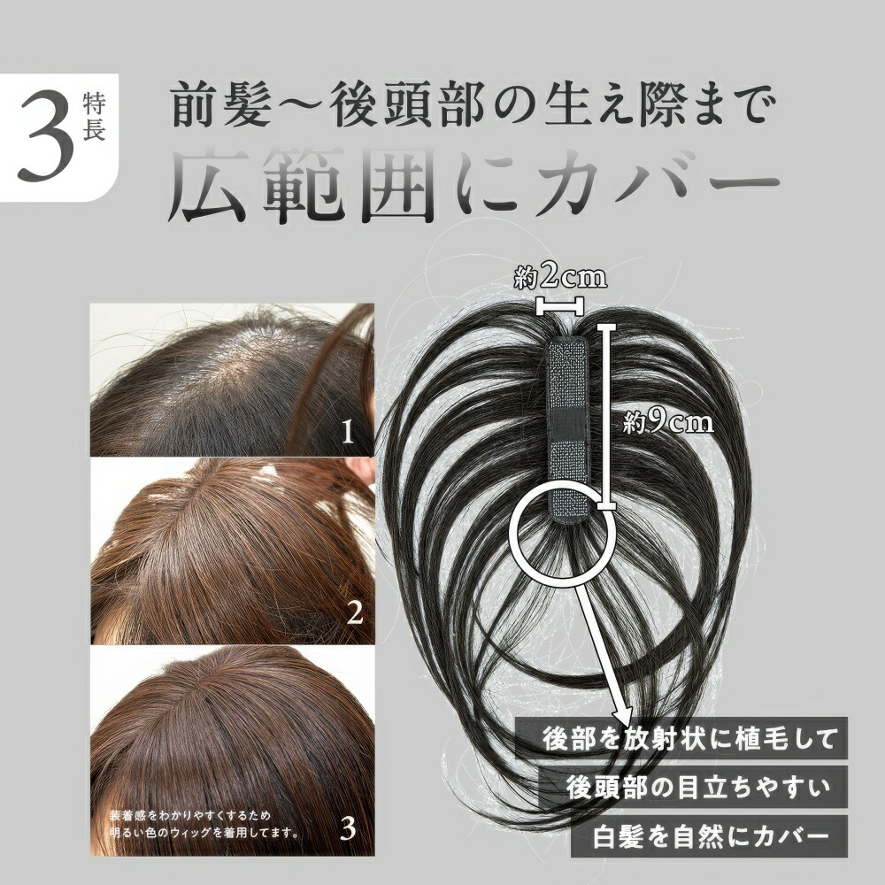 楽天市場】シートエクステ ショート（ライトブラウン） 1枚 【送料無料