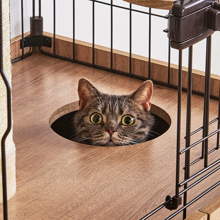 楽天市場】【公式】猫 ケージ 3段 ワイド 隠れ家キャットランド PKC