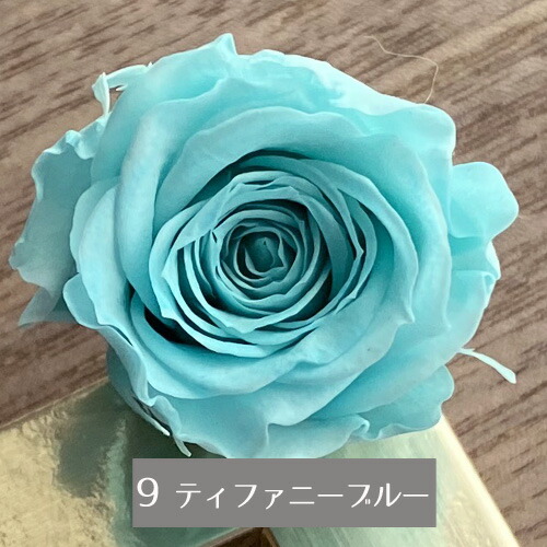 楽天市場】プリザーブドフラワー バラ 1輪 ブルー系 選べる4色 ブルー