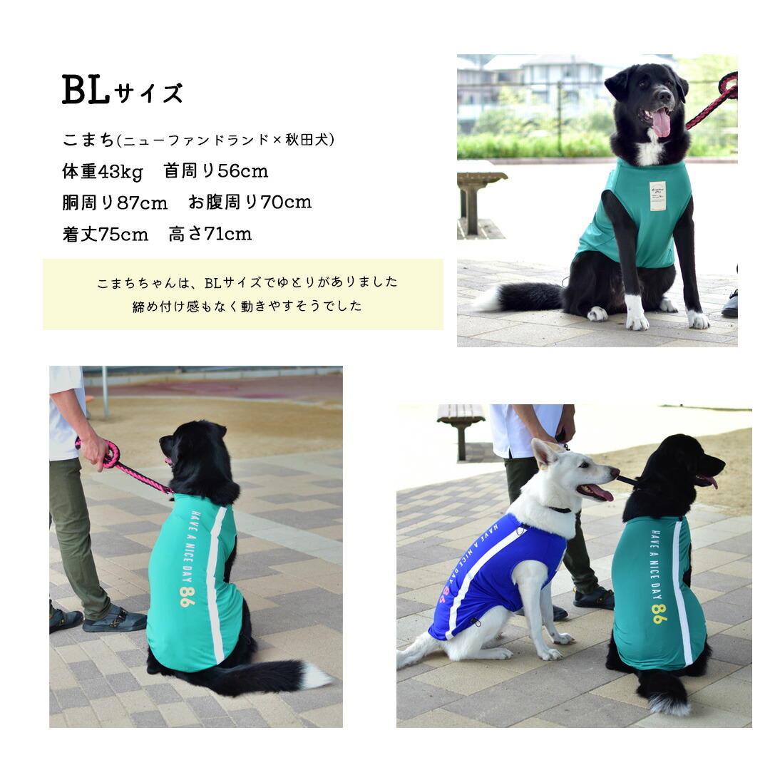 楽天市場】【在庫処分セールの為返品交換不可】大型犬サイズ