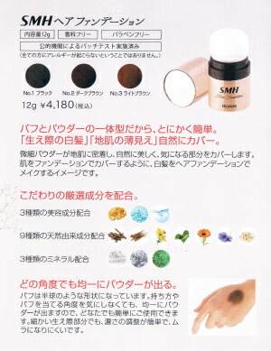楽天市場】ルアン SMHヘアファンデーション 12g【送料無料】 (ブラック