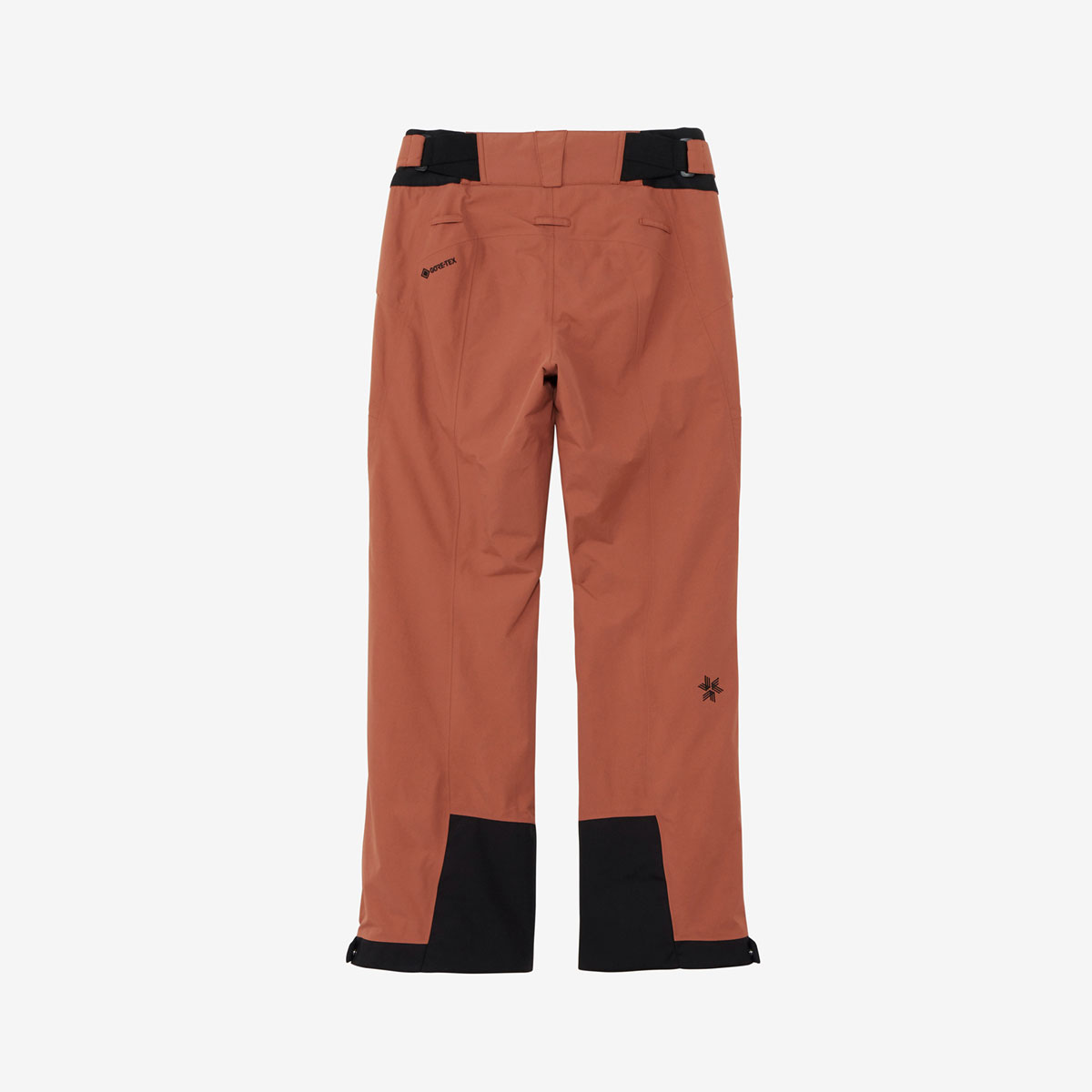 ゴールドウィン スキーパンツ ゴアテックスインフィニウム GORE M