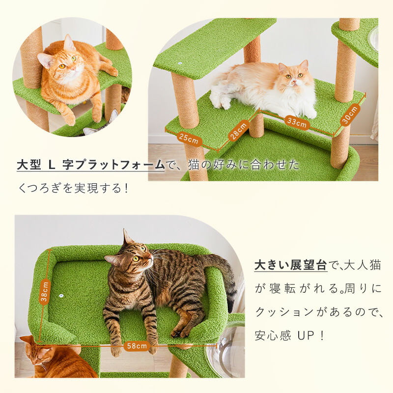 楽天市場】【ワンダブルデー＆P5倍】【レビュー特典あり】】MWPO