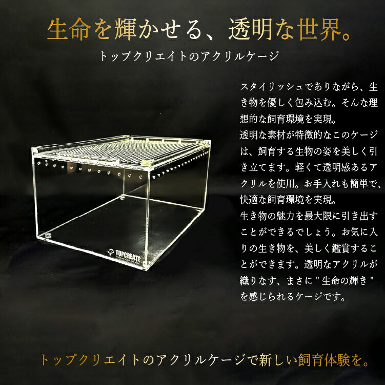 楽天市場】爬虫類ケージ アクリルケージ Sサイズ 20×30×15cm 透明