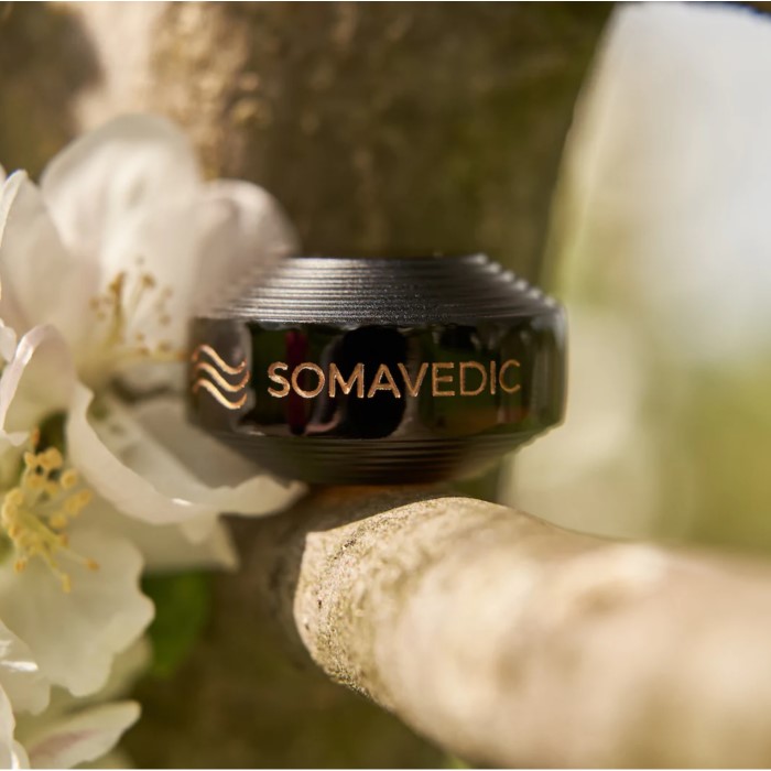 楽天市場】ソマヴェディック パワーブラック ポータブルボタン