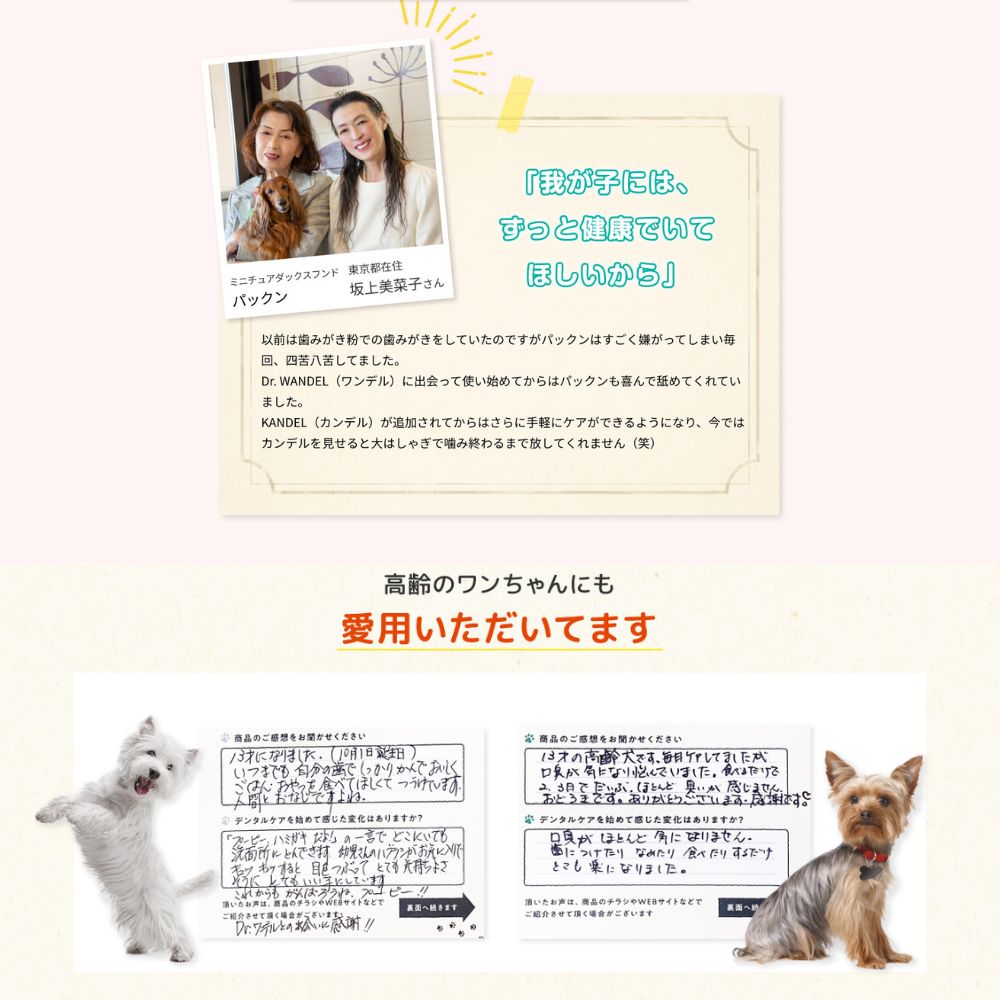 楽天市場】【公式】【メディアで話題】 Dr.wandel ドクターワンデル