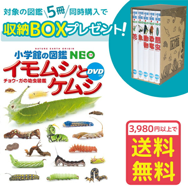楽天市場】【収納BOX付・送料無料・条件有】.小学館の図鑑 NEO