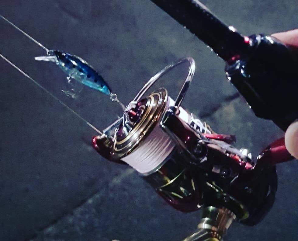 17 月下美人 EX 2004Cのスペック | 釣りクラウド