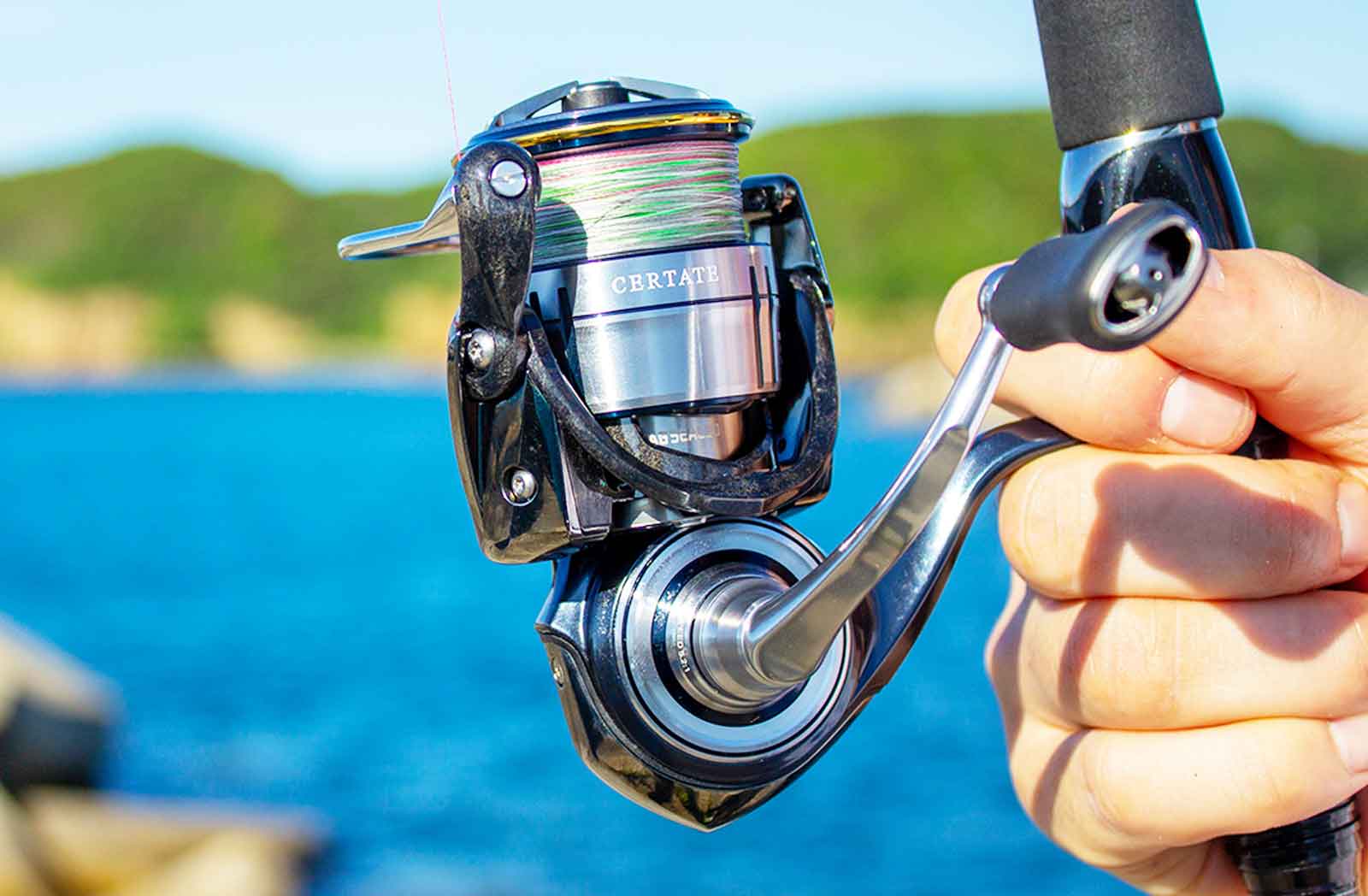 19 セルテート LT2500Sのスペックとインプレ | 釣りクラウド