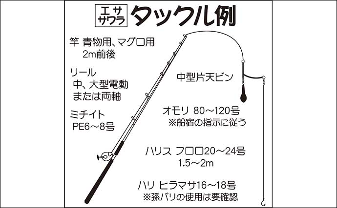 東京湾『エササワラ』釣りがブームの兆し 未開の釣りゆえの楽しさアリ