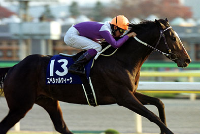 TERAMAGAZINEさんの競馬日記 - スペシャルウィークのつくり方｜競馬