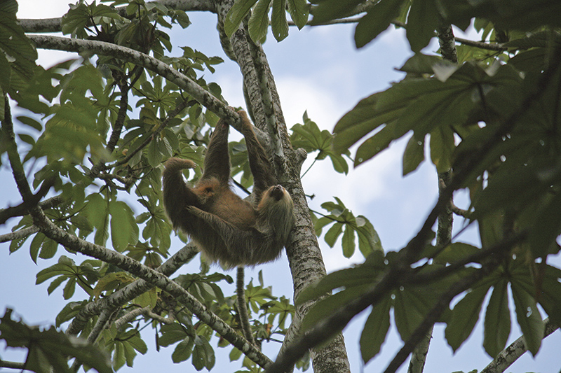 シリーズ世界へ! YOLO⑭Pura Vida! コスタリカ 前編 | U.S. FrontLine