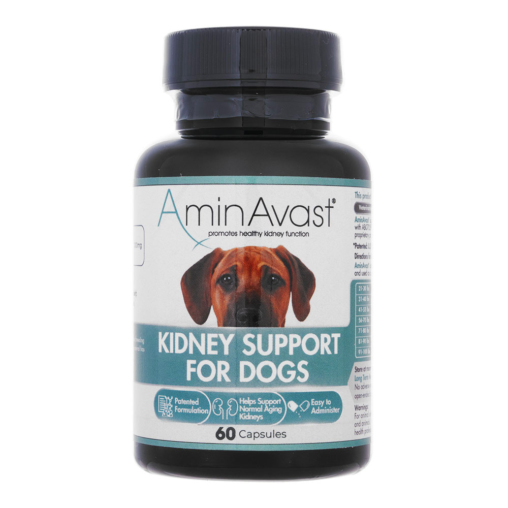 アミンアバスト（犬用）通販｜腎臓・ホルモン・泌尿器｜犬｜ペットのお