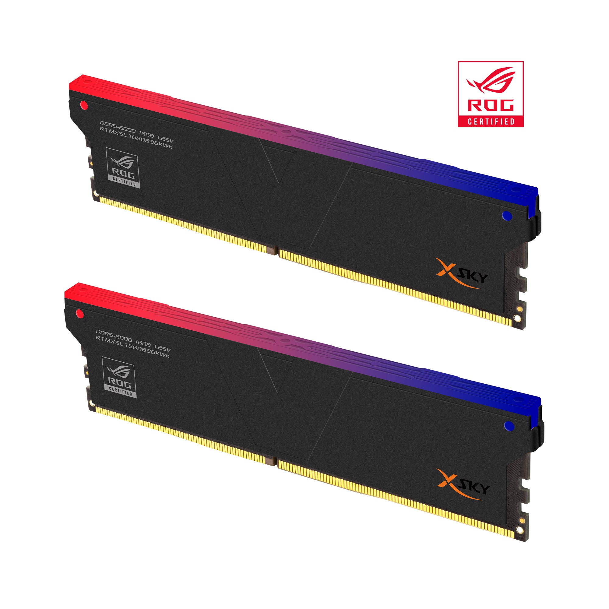 DDR5 | [Manta] ROG 認定 XSky RGB | 32GB (16GBx2) | インテル XMP