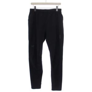 ナイロンパンツ カーゴパンツ ゴアテックス アウトドア M グレー（2024