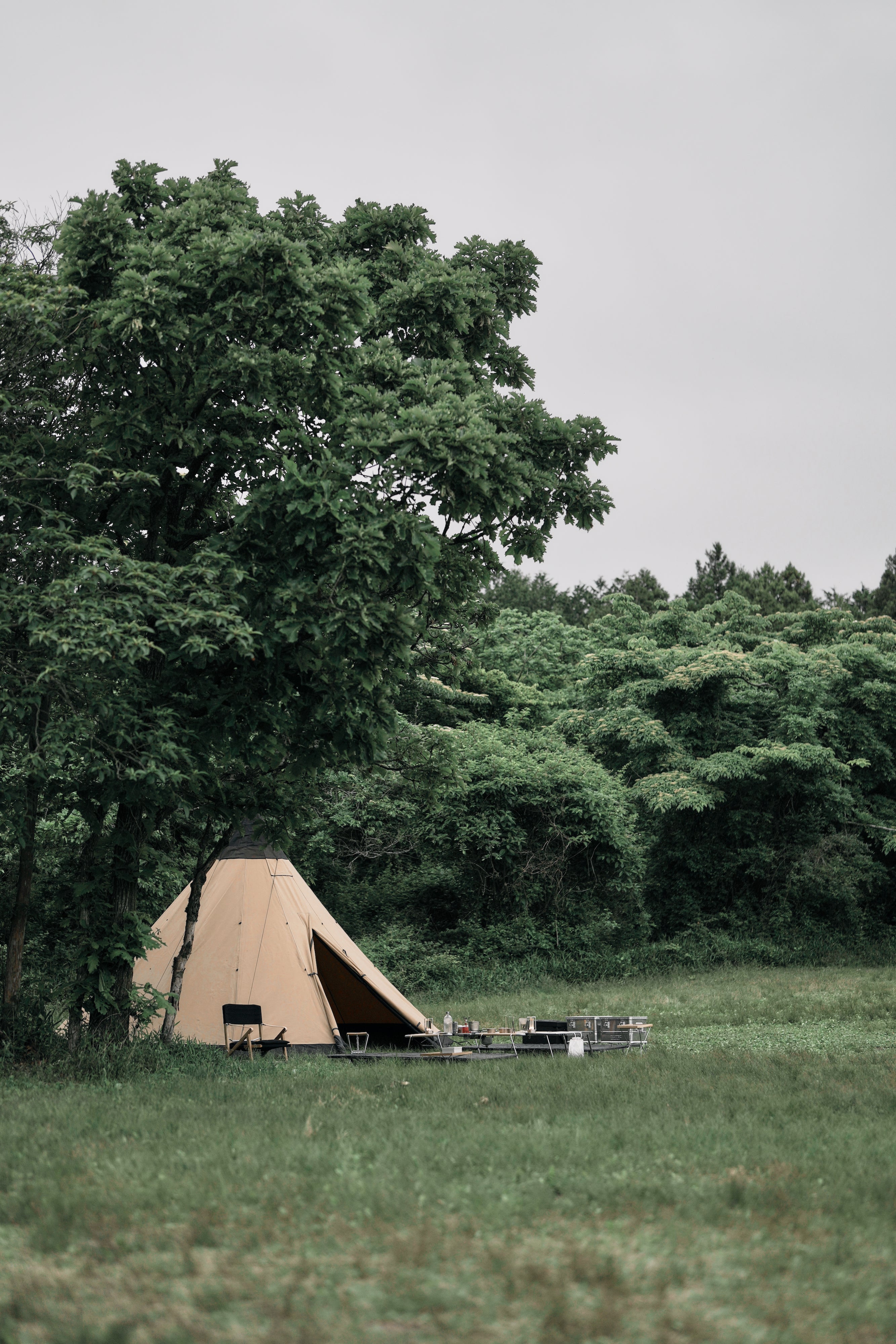 Arctic Lavvo / Wanderout Edition Venor Enstangslavvo 8-10 – wanderout