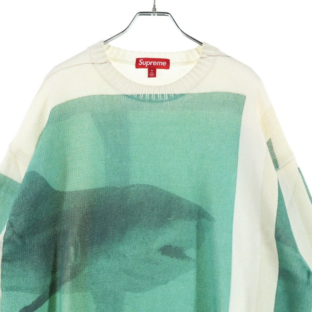 SUPREME(シュプリーム) 25SS Damien Hirst Sweater ダミアンハースト