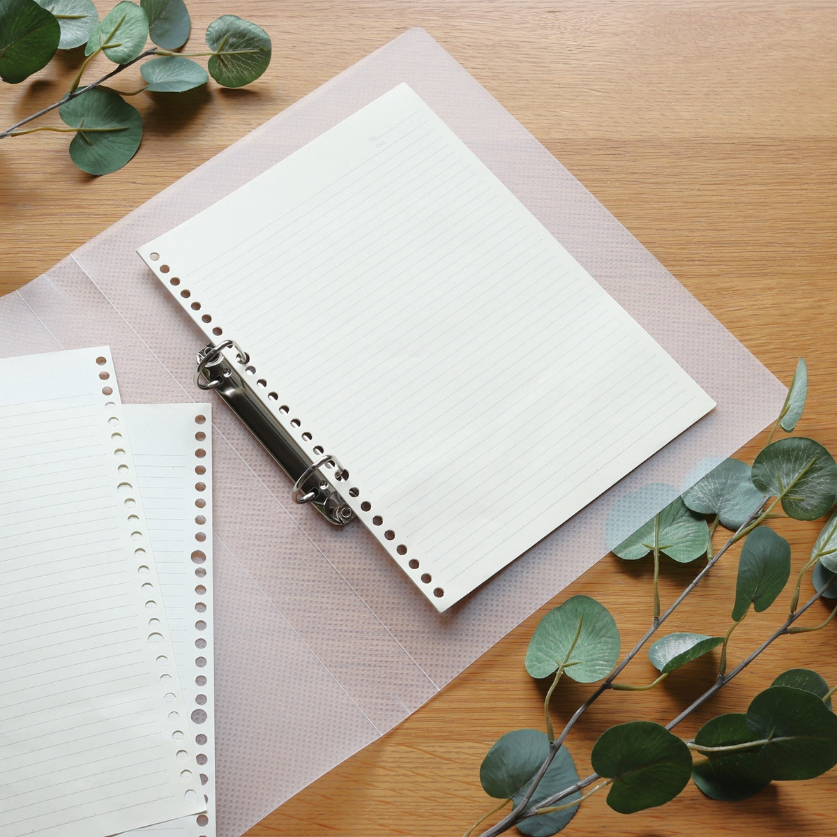 リング式ファイル D型リングファイル PB.A4 Dリングファイル 2穴