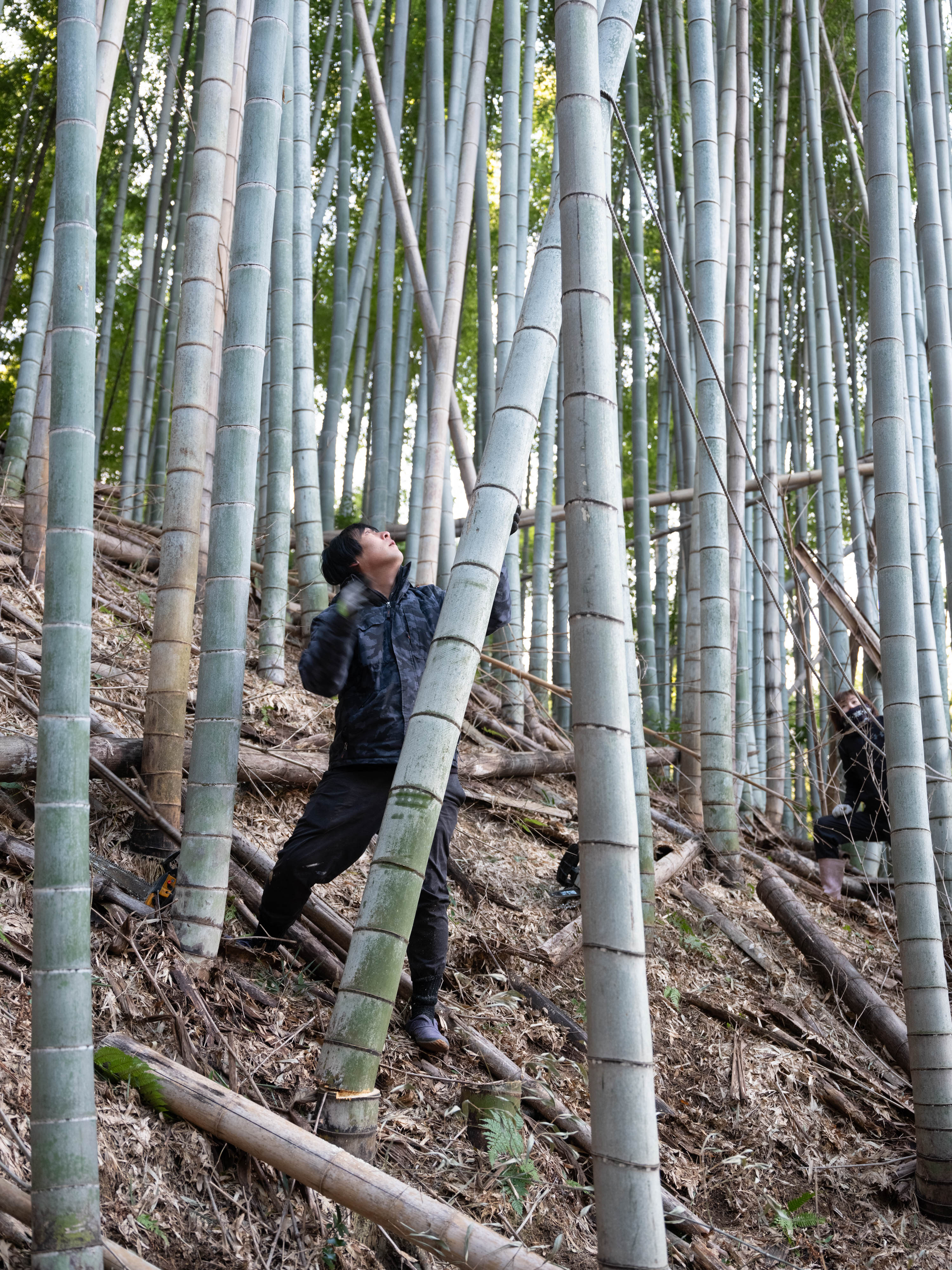 スス竹箸 10膳組｜ヤマチク