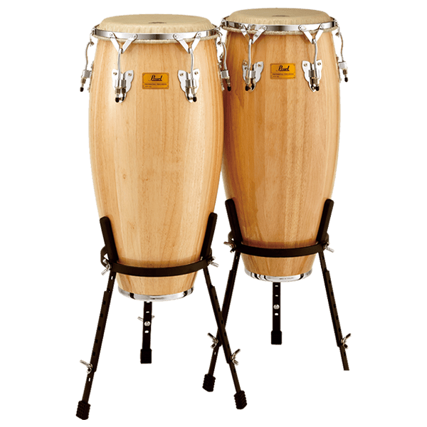 コンガ PEARL｜246ZAIKI