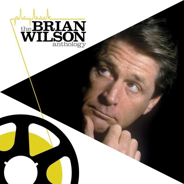 Brian Wilson / ブライアン・ウィルソン「PLAY BACK：THE BRIAN WILSON