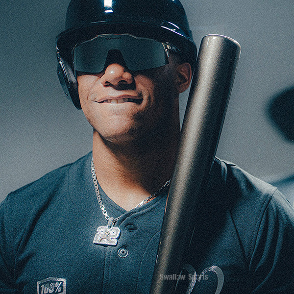 野球 サングラス 100％ ワンハンドレッド フアンソト ソトモデル 選手