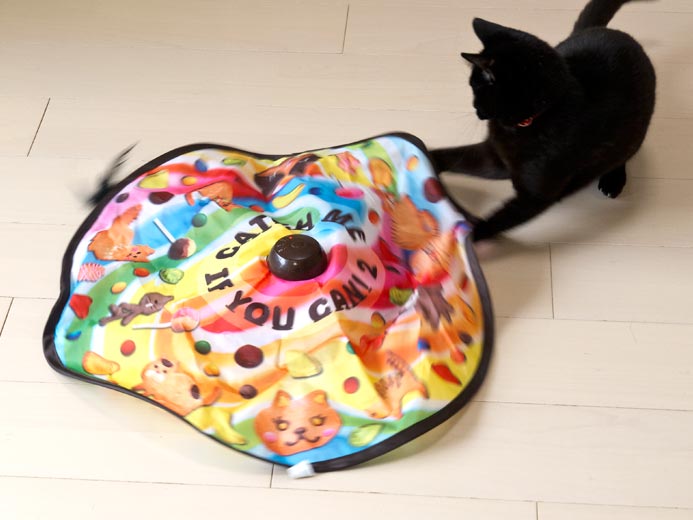 猫壱 キャッチミーイフユーキャン2 猫用 電動 おもちゃ ( キャッチミー
